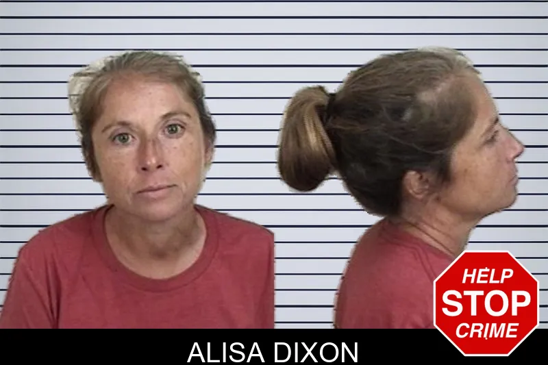 Alisa Dixon mugshot – Camden County , Georgia Alisa Dixon mugshot