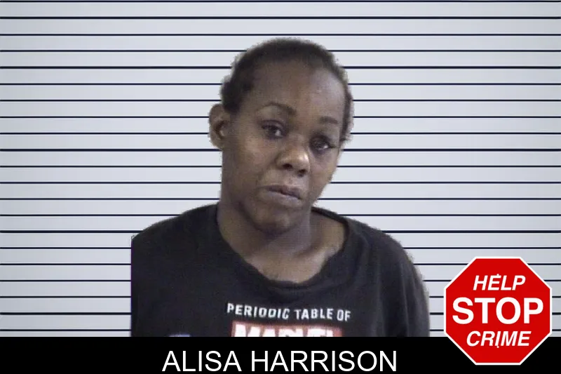 Alisa Harrison mugshot – Whitfield County , Georgia Alisa Harrison mugshot