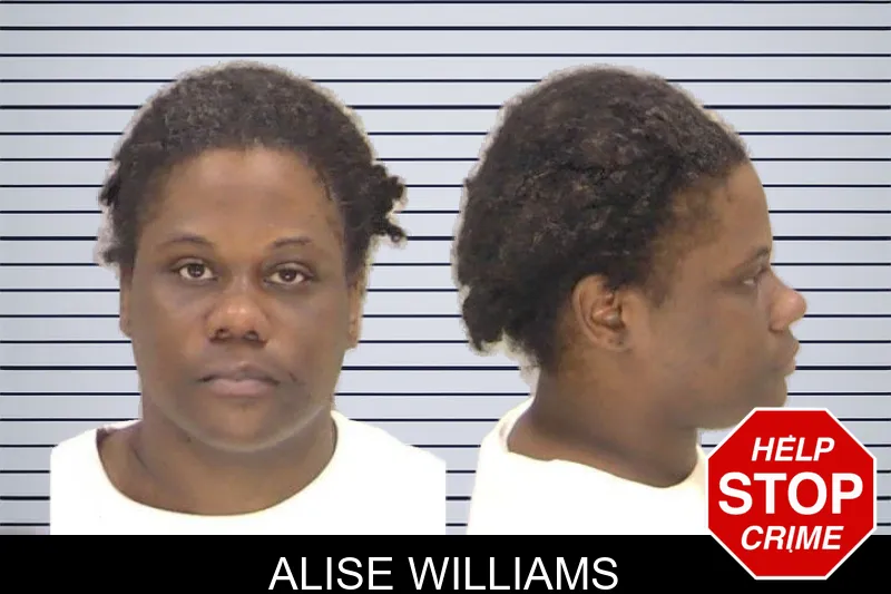 Alise Williams mugshot