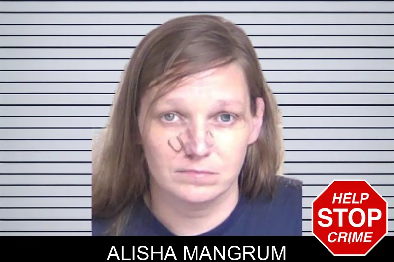 Alisha Mangrum mugshot – Walker County , Georgia Alisha Mangrum mugshot