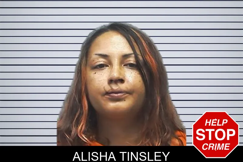 Alisha Tinsley mugshot – Cherokee County , Georgia Alisha Tinsley mugshot