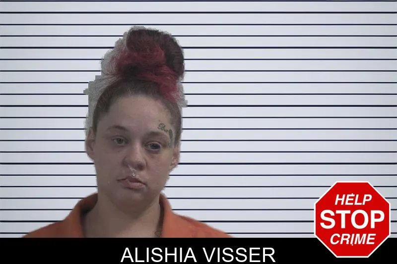 Alishia Visser mugshot – McDuffie County , Georgia Alishia Visser mugshot