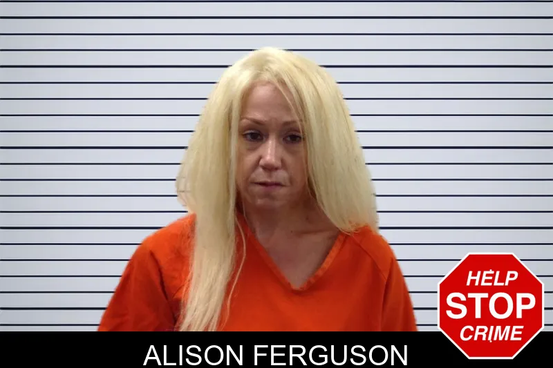 Alison Ferguson mugshot