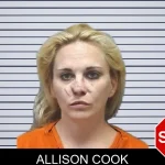 Allison Cook mugshot