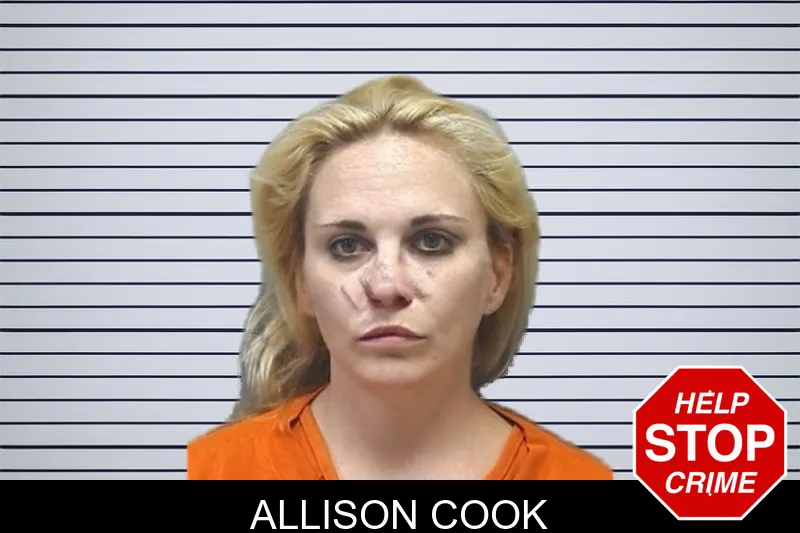 Allison Cook mugshot