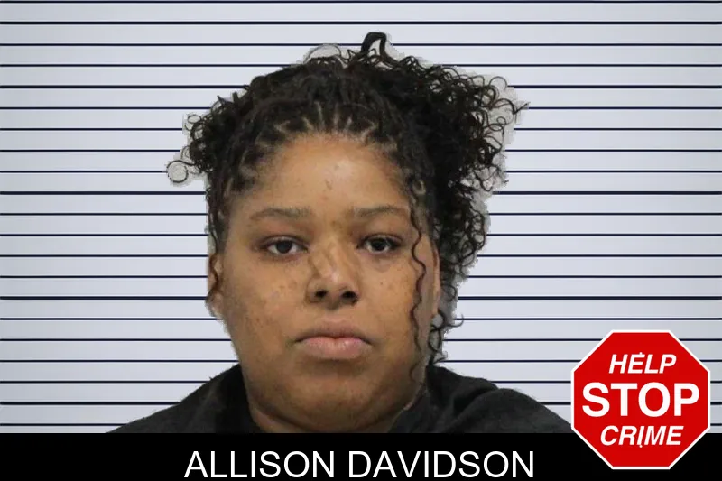 Allison Davidson mugshot
