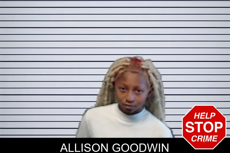 Allison Goodwin mugshot