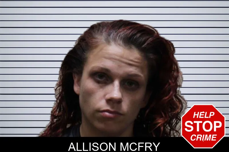 Allison McFry mugshot – Haralson County , Georgia Allison McFry mugshot
