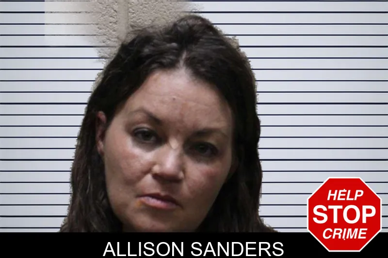 Allison Sanders mugshot