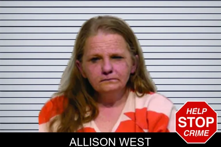 Allison West mugshot – Bartow County , Georgia Allison West