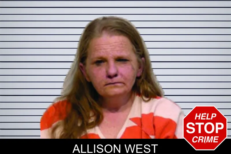 Allison West mugshot