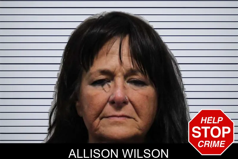 Allison Wilson mugshot