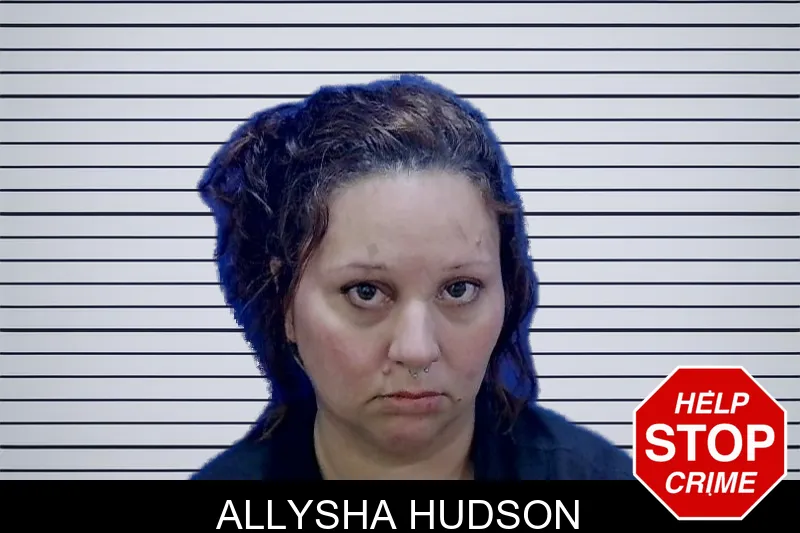 Allysha Hudson mugshot – Troup County , Georgia Allysha Hudson mugshot