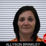 Allyson Brinkley mugshot