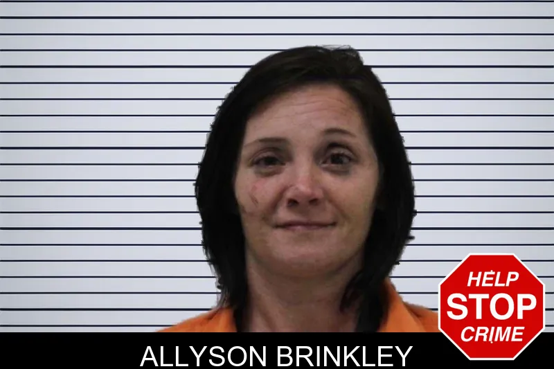 Allyson Brinkley mugshot