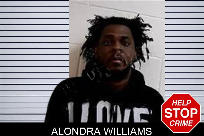 Alondra Williams mugshot – Decatur County , Georgia Alondra Williams mugshot