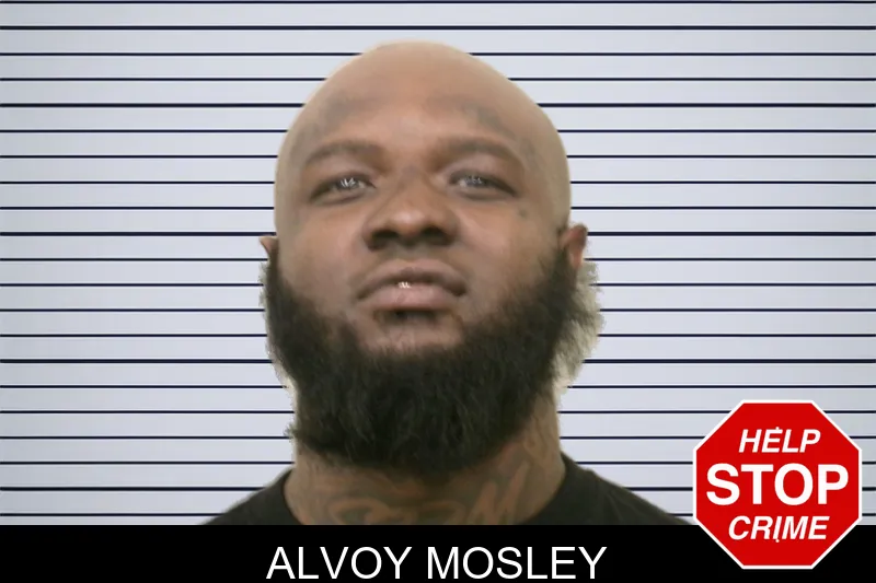 Alvoy Mosley mugshot – Bulloch County , Georgia Alvoy Mosley mugshot