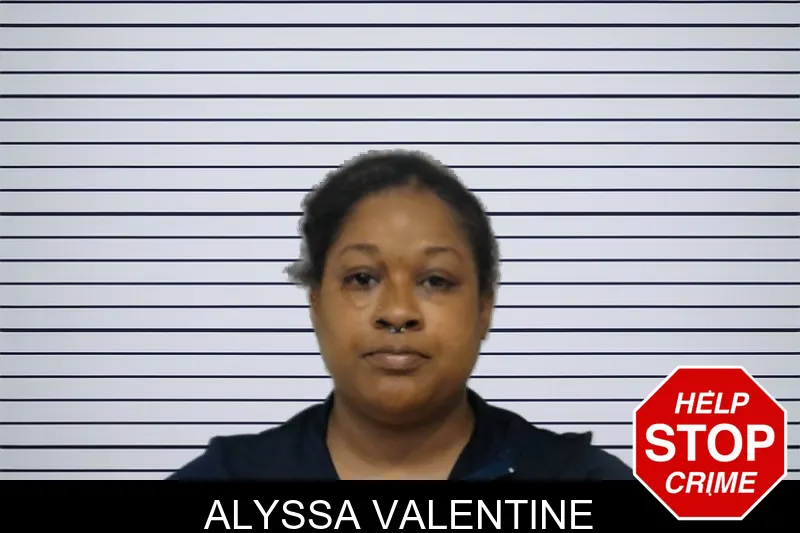 Alyssa Valentine mugshot – Bibb County , Georgia Alyssa Valentine mugshot