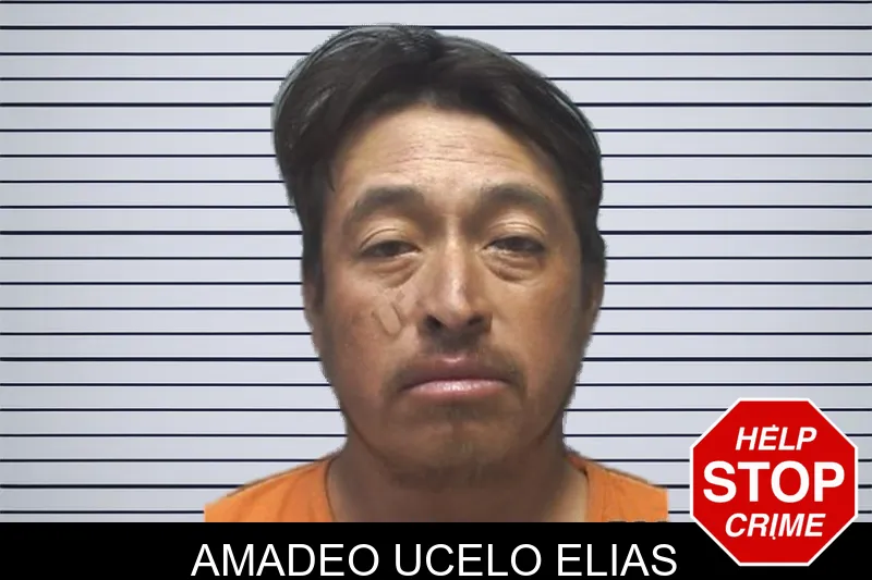 Amadeo Ucelo Elias mugshot