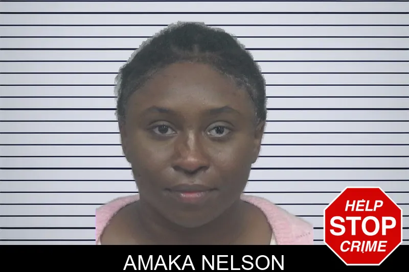 Amaka Nelson mugshot – Gwinnett County , Georgia Amaka Nelson mugshot