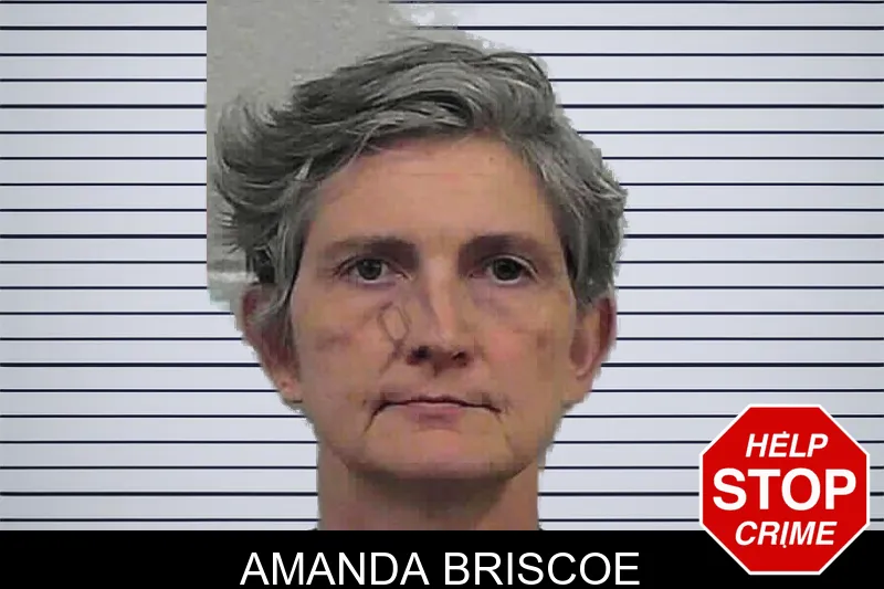 Amanda Briscoe mugshot