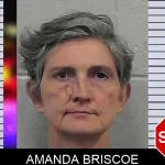 Amanda Briscoe mugshot