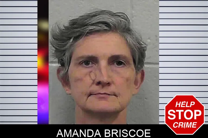 Amanda Briscoe mugshot – Butts County , Georgia Amanda Briscoe mugshot