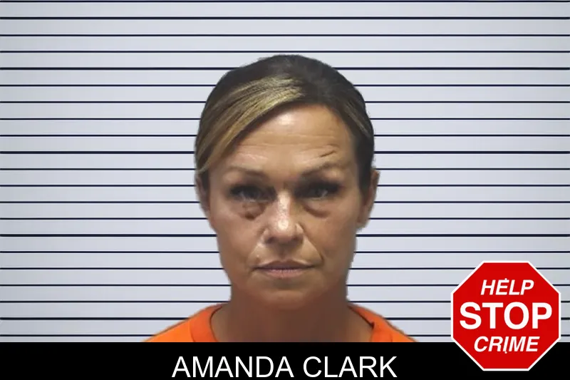Amanda Clark mugshot – Cherokee County , Georgia Amanda Clark mugshot