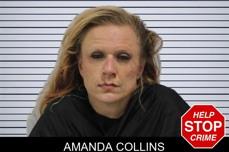 Amanda Collins mugshot