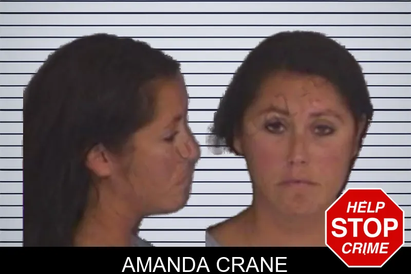 Amanda Crane mugshot