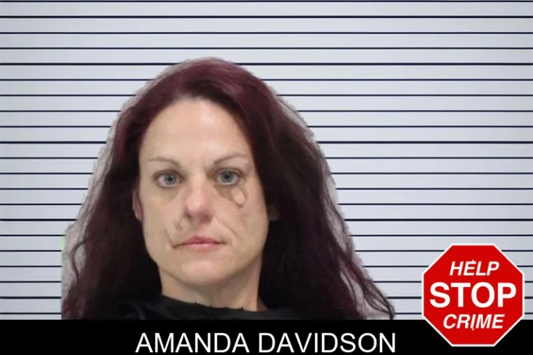Amanda Davidson mugshot – Carroll County , Georgia Amanda Davidson