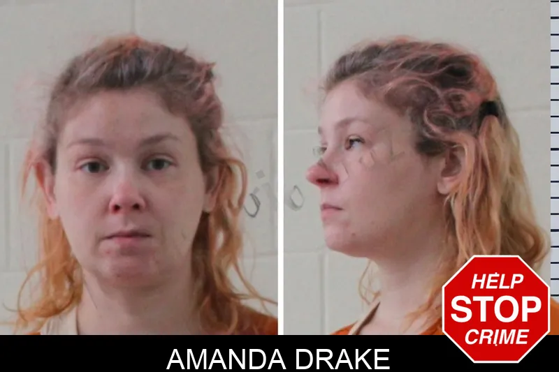 Amanda Drake mugshot – Houston County , Georgia Amanda Drake mugshot