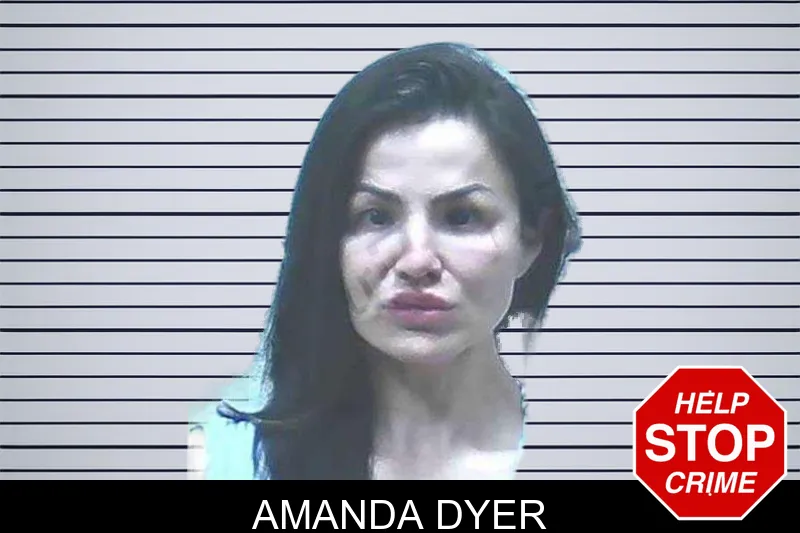 Amanda Dyer mugshot