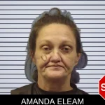 Amanda Eleam mugshot