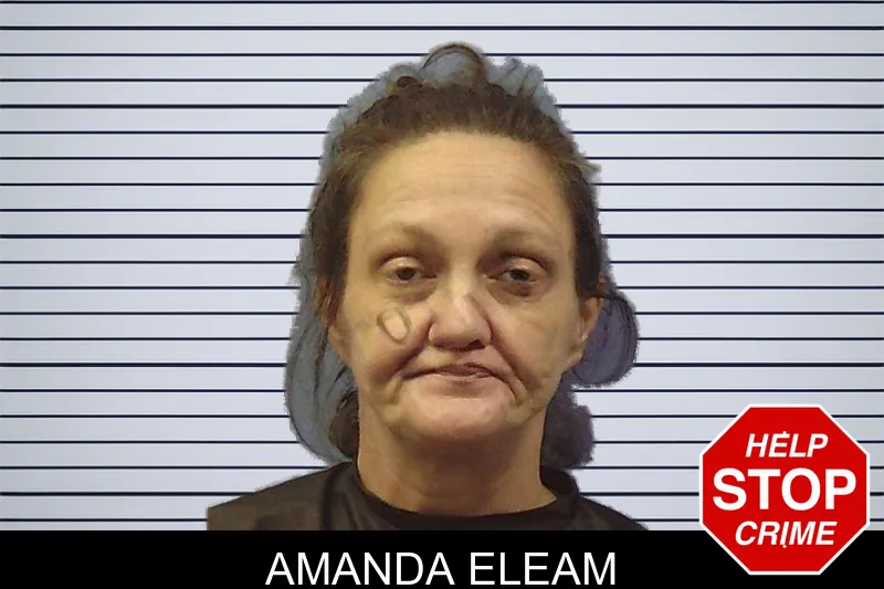 Amanda Eleam mugshot