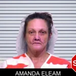 Amanda Eleam mugshot