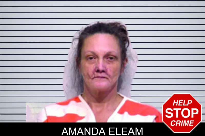 Amanda Eleam mugshot