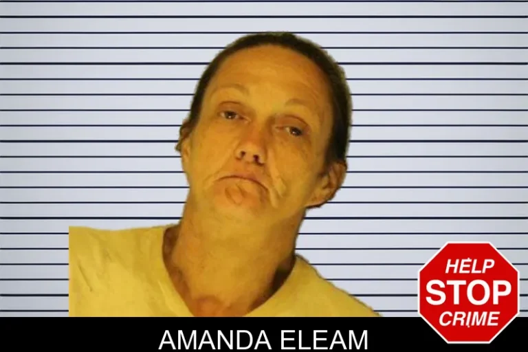 Amanda Eleam mugshot – Hall County , Georgia Amanda Eleam