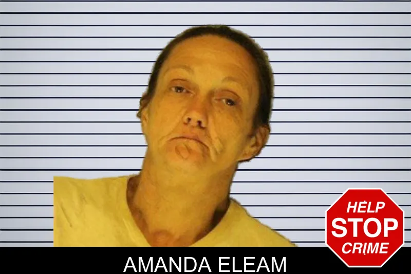Amanda Eleam mugshot