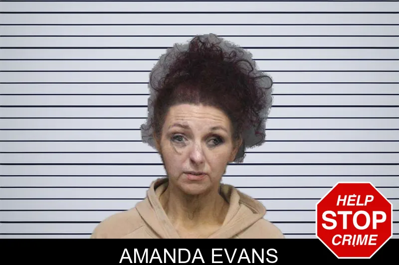 Amanda Evans mugshot
