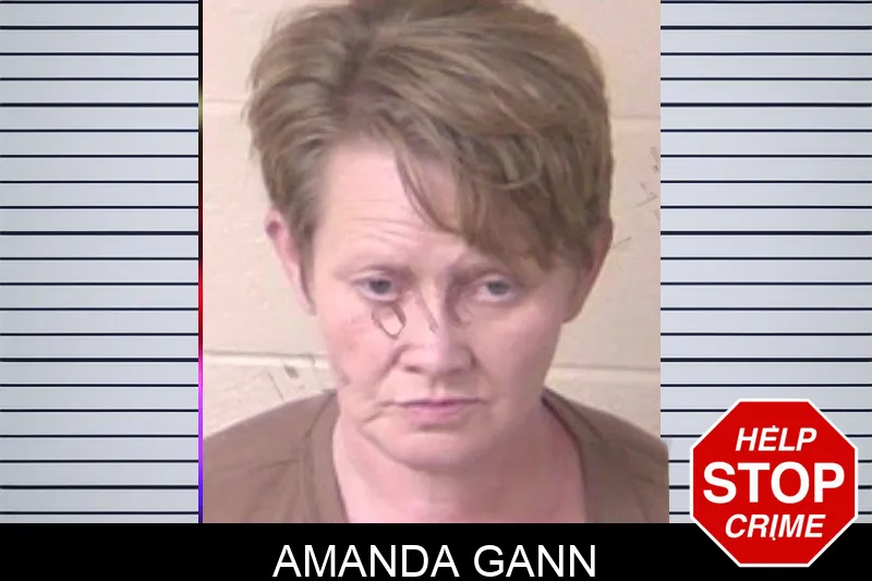 Amanda Gann mugshot – Walker County , Georgia Amanda Gann mugshot