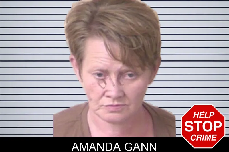 Amanda Gann mugshot – Walker County , Georgia Amanda Gann mugshot