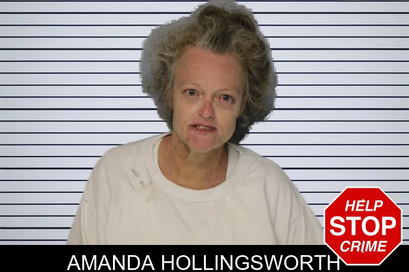 Amanda Hollingsworth mugshot – Hall County , Georgia Amanda Hollingsworth mugshot