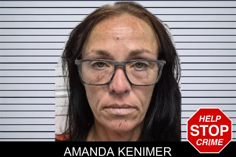 Amanda Kenimer mugshot – Dade County , Georgia Amanda Kenimer mugshot