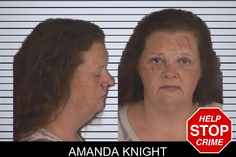Amanda Knight mugshot