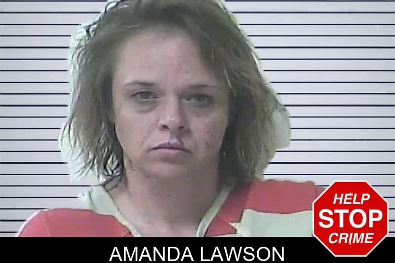 Amanda Lawson mugshot – Oconee County , Georgia Amanda Lawson mugshot