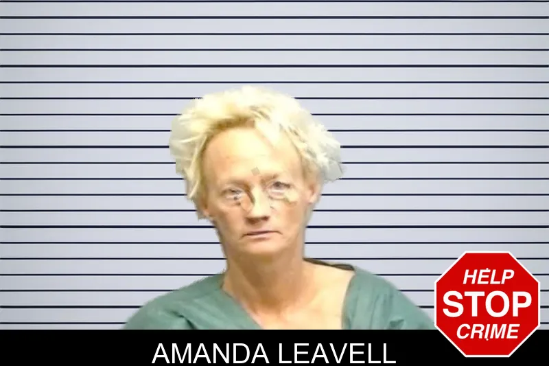 Amanda Leavell mugshot