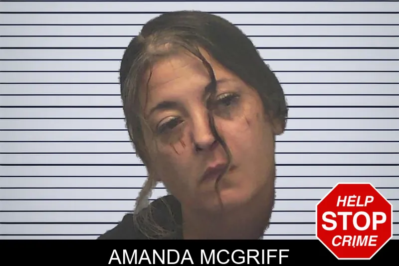 Amanda McGriff mugshot