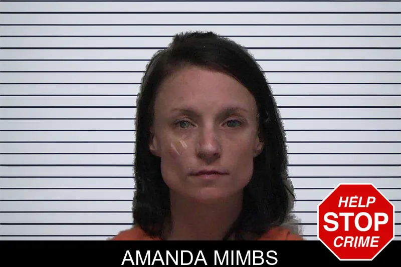 Amanda Mimbs mugshot