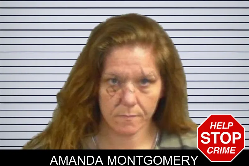Amanda Montgomery mugshot – Upson County , Georgia Amanda Montgomery mugshot
